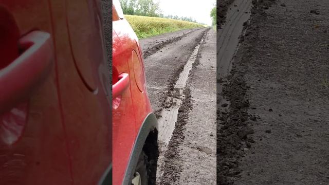 Unleash Your Inner Speedster: Suzuki Style