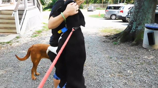 FOHA Buddies -  8/31/2017