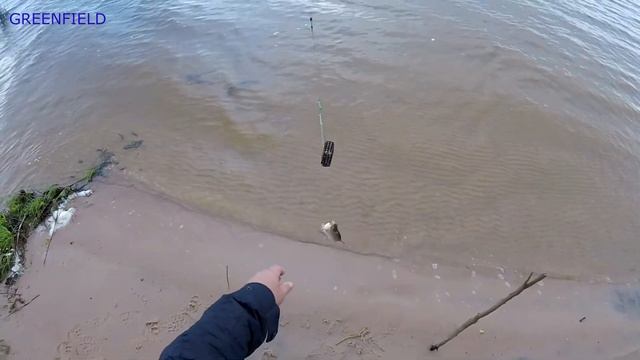 Рыбалка.р.Нарва (Нарова).Ловим на фидер и донку.