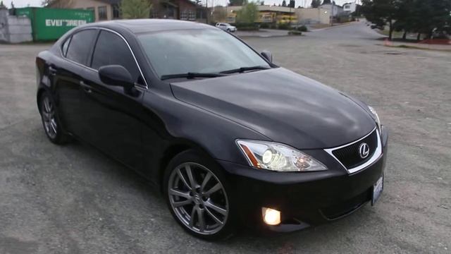 Забавные моменты