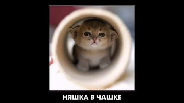 057732d9161cf4b332880f7550dcf3b6