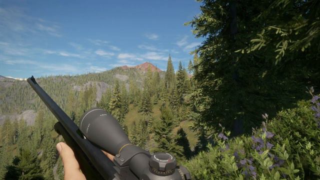 My First Diamond Kitty! The Hunter Call Of The Wild 4K