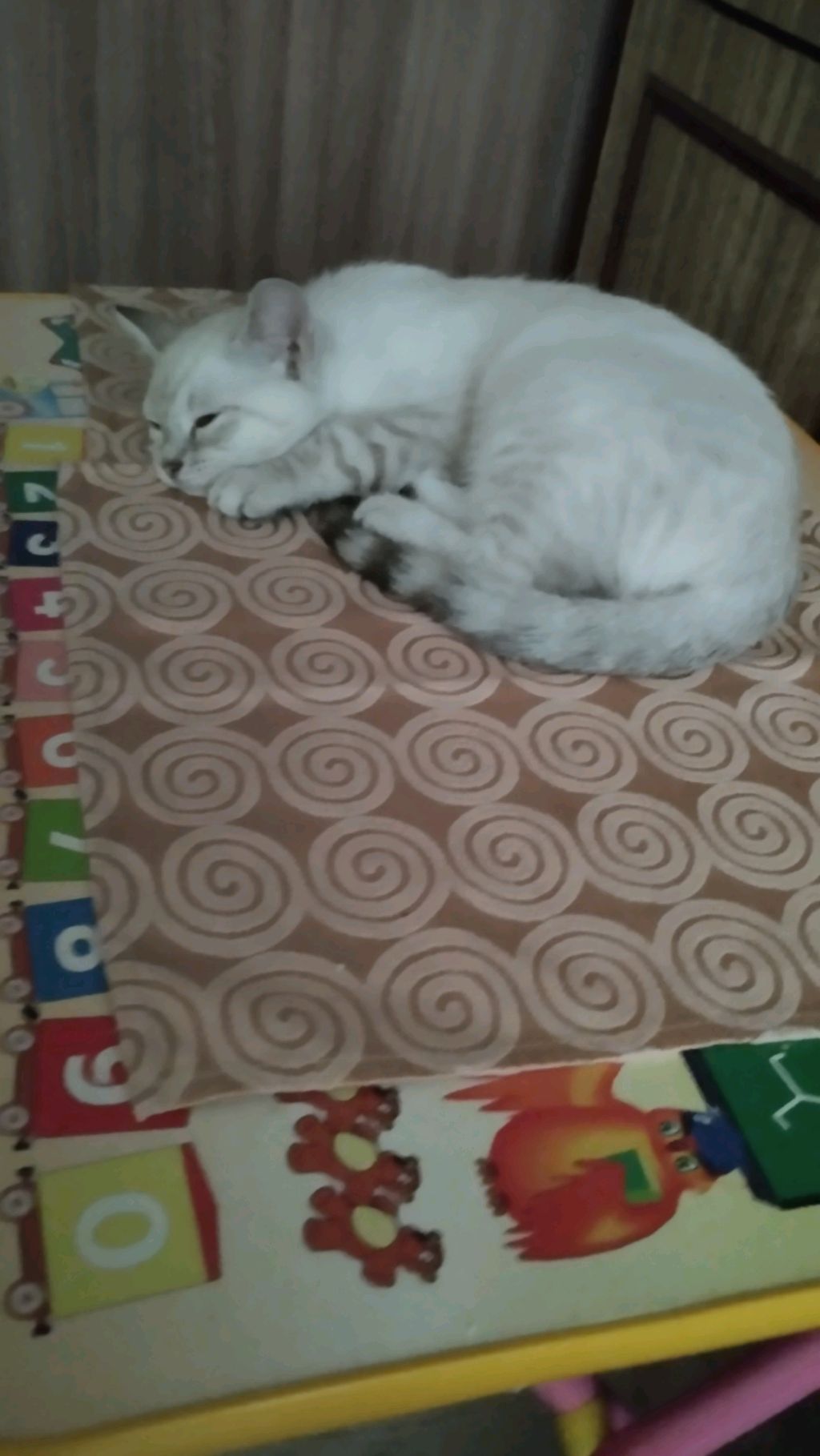 ASMR по твоему именю !!!!