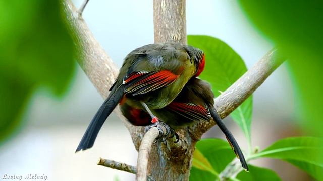 03e960a7aaf9e0c35e4e8f05bca71072