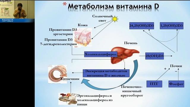 11 Квашніна Avi