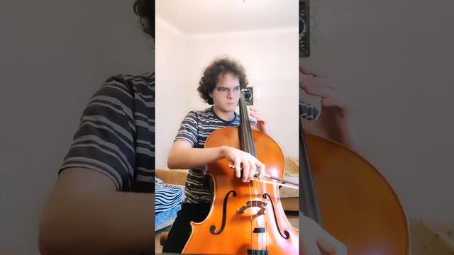 Оркестровые трудности (Брамс симфония 4)