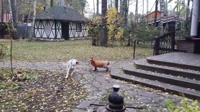 83e434a2be311aaa0d485b9d15c34504