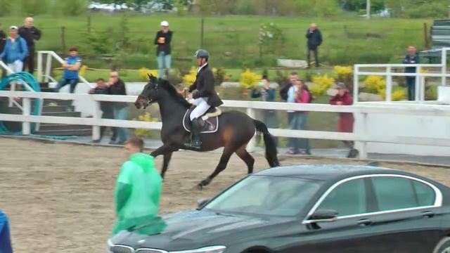 Стелз. Усенко Олег. 120 см. Открытый класс. Конкур в Харькове. КСК 