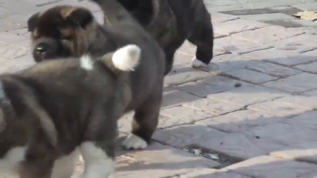 детки от Раф+Юла