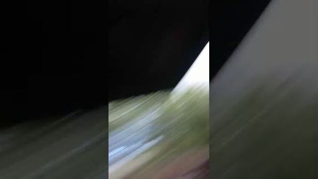 я со своим другом прФ чусь от другам