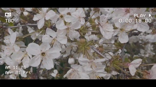 D208ec62b6fc94fbe8c5d6b298e24325