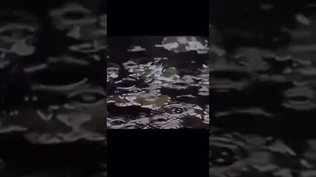 никто не знает наперед