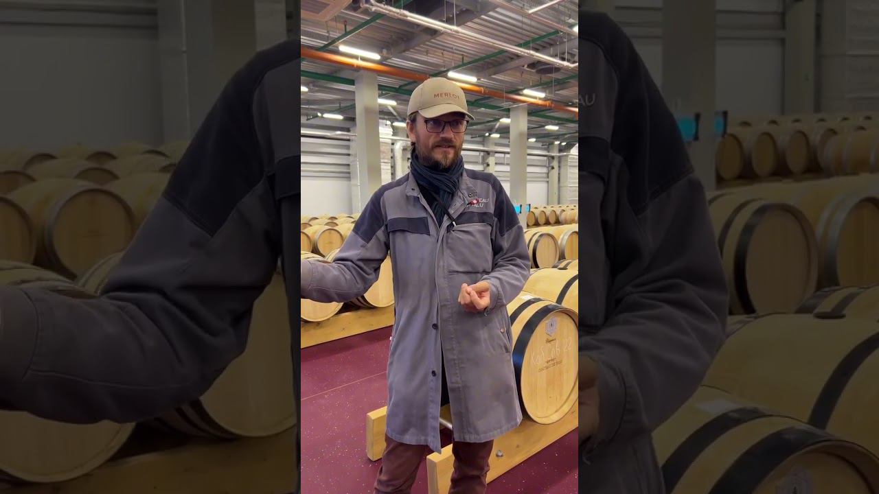 Разрушаем мифы о вине  #дионисприглашает #виноиндустрия