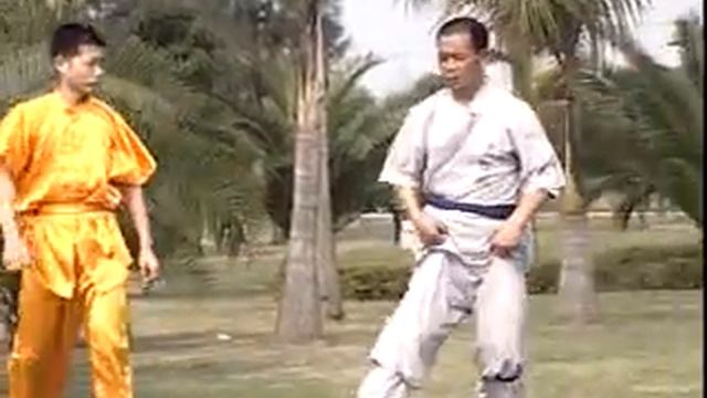 Ушу. Практическая техника Ушу Южного Шаолиня. 8 шагов