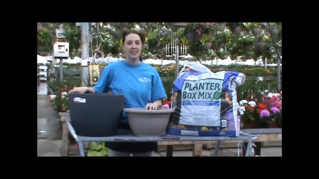Dutch Growers Success With Annual Containers Part One