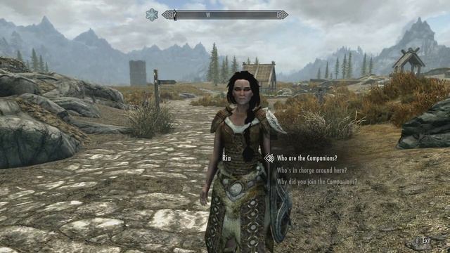 Skyrim Appearance Mod Review