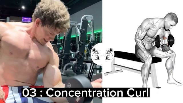 Arnold Schwarzenegge Biceps End Triceps Exercises