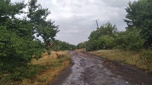 335 26.07.2022 и 02.06.2022 Два дождя