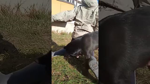 VID-20231103-WA0004.mp4