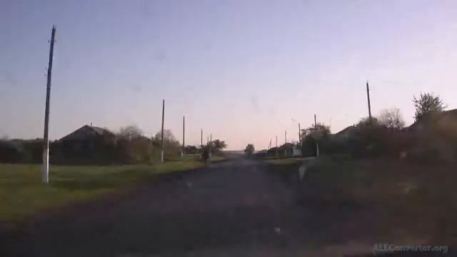 Собака самоубийца.