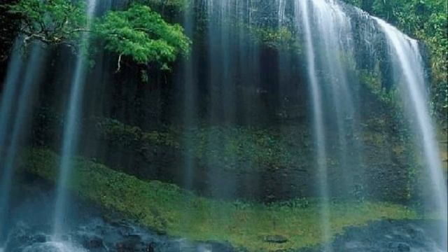 Жизнь прекрасна.