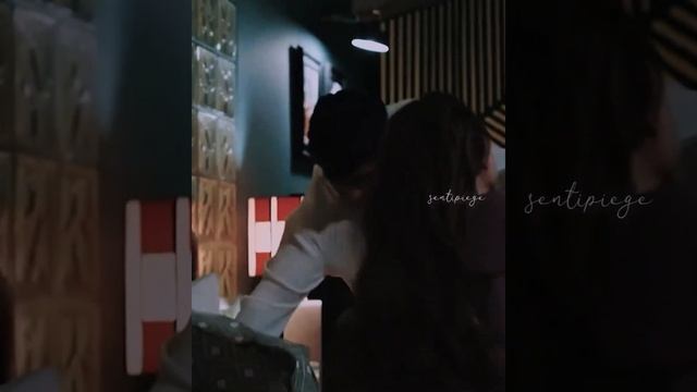 Пушистые Приключения