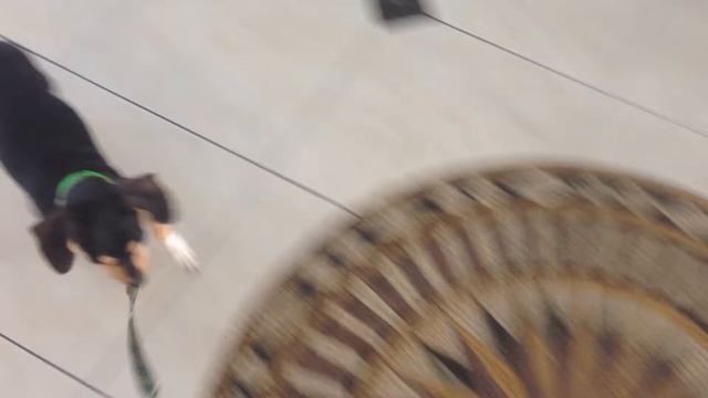 0127734cb8c5dfeb870867b9a0e994a3