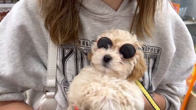 757d169d207f7766002fa412119b78d7