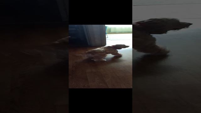 1f6ea2e9eb3395898d3a72a964b9fc23