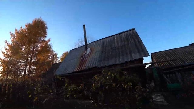 Кот который постоянно ОРЁТ / БАНЯ