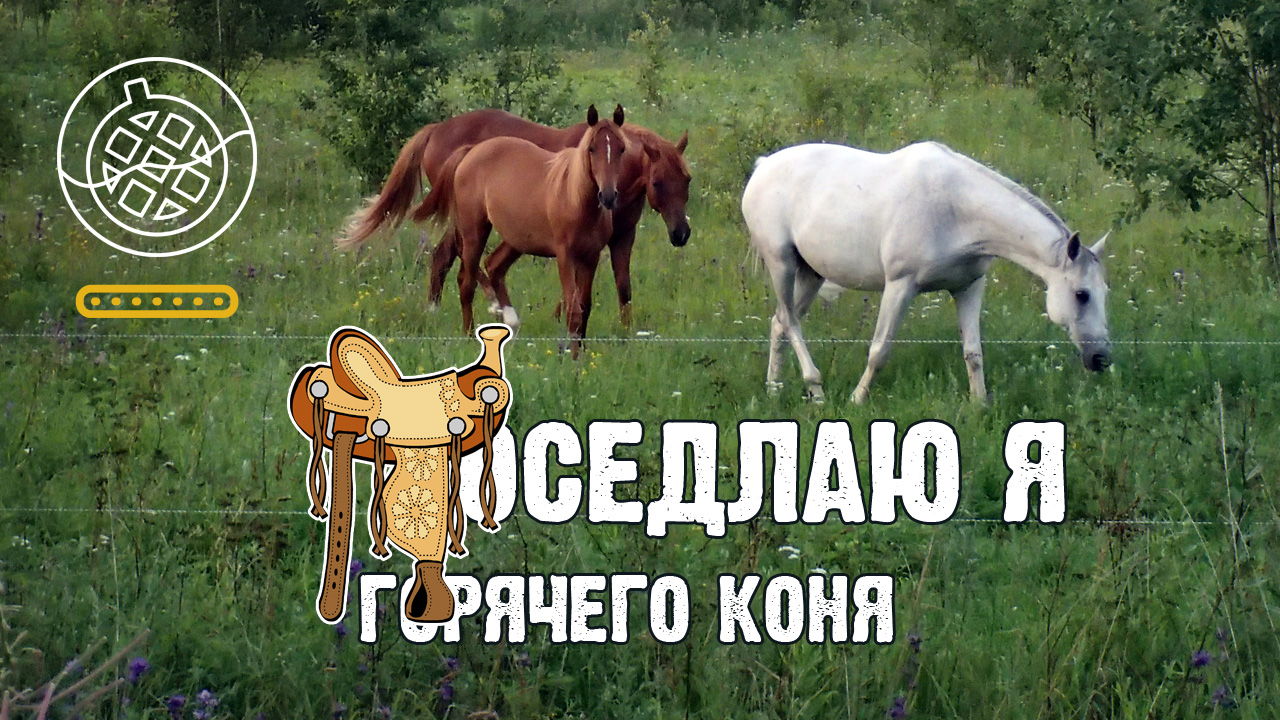 Ременный разделитель с конской сбруи
