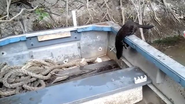 Сижу значит я рыбачу!