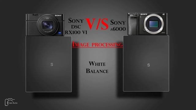 Sony DSC RX100 VI Vs Sony α6000