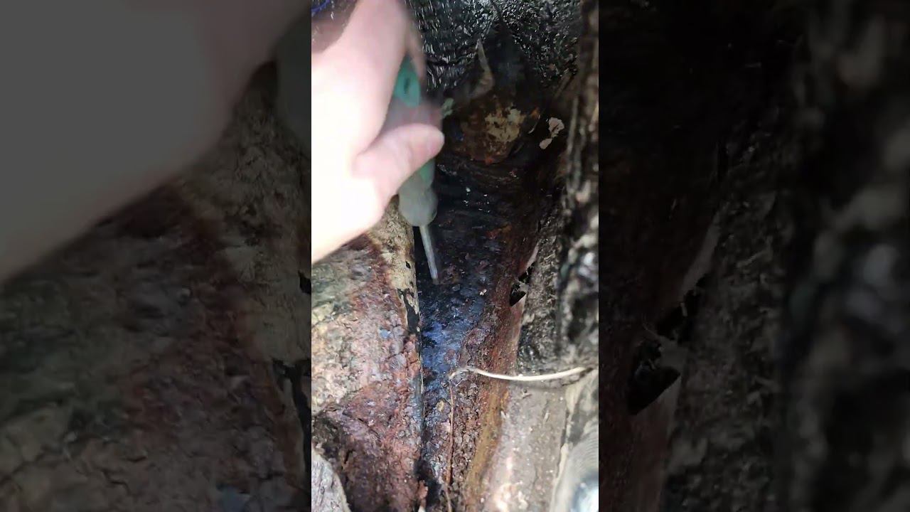 782c124492691af5d289525bcac14c52