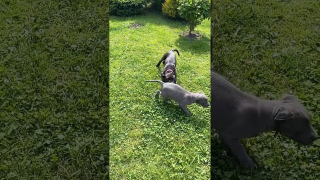 58b98ecfd825199053d826f053bdf8aa