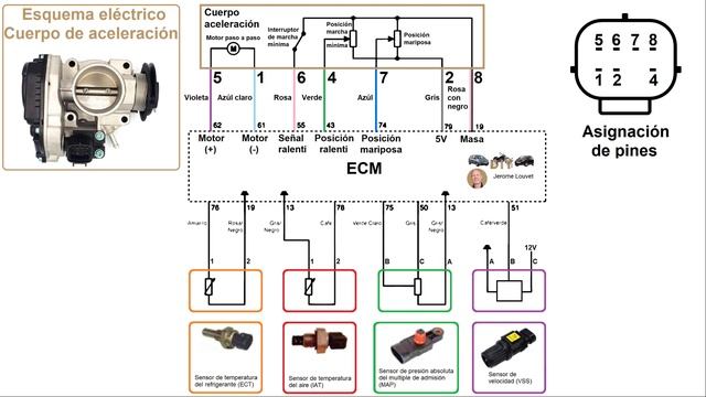 Como Controlar El Cuerpo De Aceleración - Chevrolet Matiz / Spark - Pontiac G2 - Tutorial