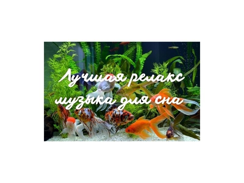 МУЗЫУА ДЛЯ РЕЛАКСА