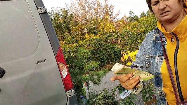 Рынок плодовых и декоративных саженцев.  ГОРЯЧИЙ КЛЮЧ.