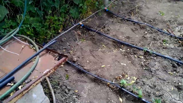 Как я сделала капельную систему.Агроволокно.ремонтантная клубника.Алена Жардан.обо всем.