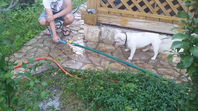 27ee339da7a1e9f9ee2dbd435f2500e7