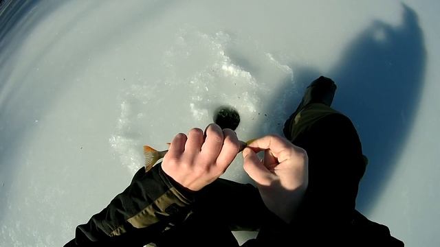 Ловля окуня или чучело с буром