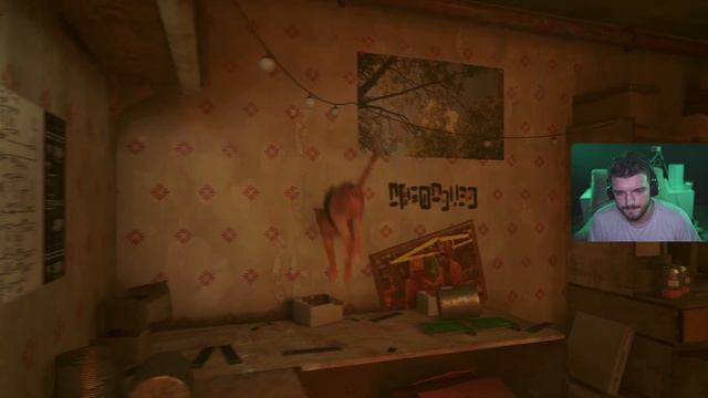 ДОК ЕЩЕ ЖИВ И МЫ ДОЛЖНЫ ЕГО НАЙТИ! #3 ШКИПЕР В STRAY