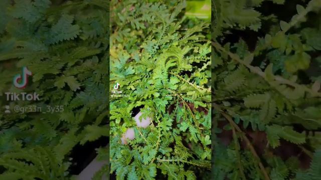 F15020c6a896505f251d872f97b32d29