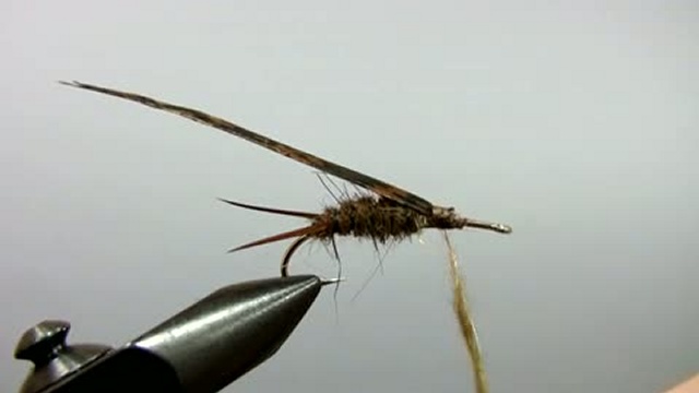 492f45cad127d9076ea50e32d578b614