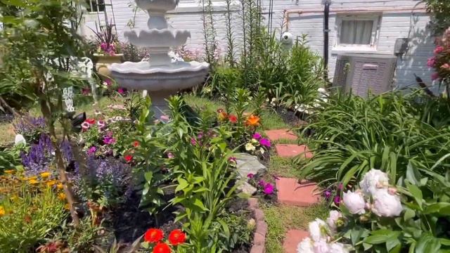 Hummingbird Garden Tour 2023 Zone 7a