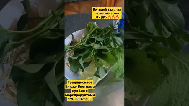 721d47aae49f78d2e7dc4f032ced676d