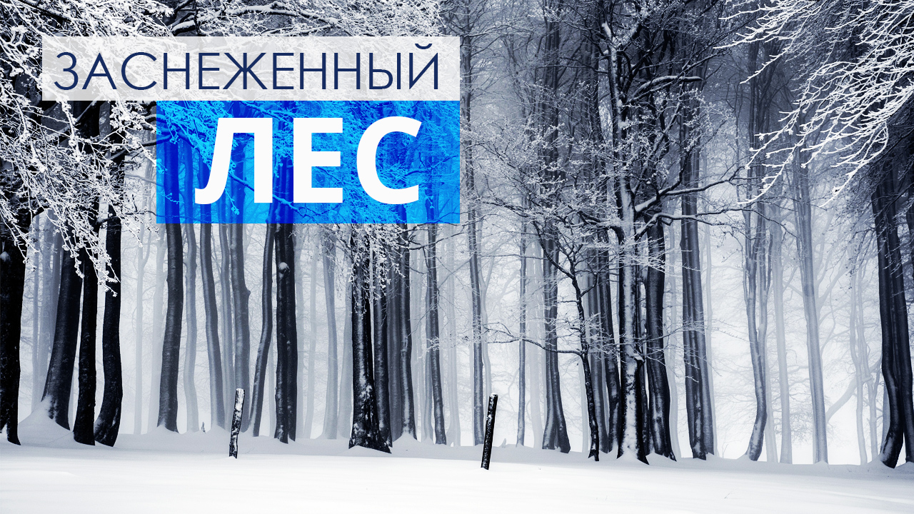 Aa138a5354dceeb258424e43336b767d