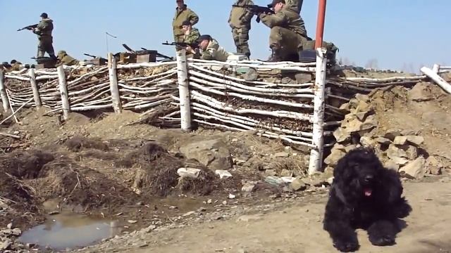 РЧТ Черная Бестия, полигон