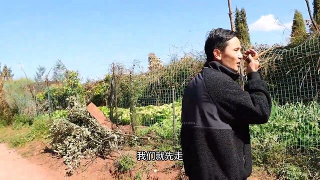 彪哥满怀憧憬去看六条熟食猪火腿，结果大失所望，只当出门游玩了【彪哥火腿】
