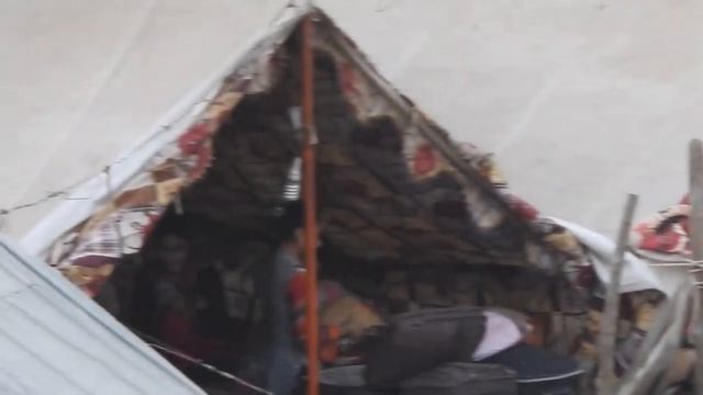 Nikon Coolpix P610 Video Sample Full Zoom Low Light Mela Girls